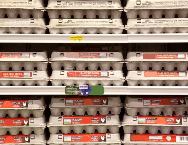 U.S. Egg Shortage Spurs Record Imports from Turkey