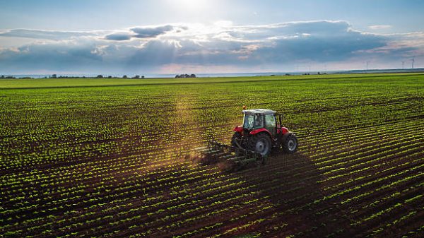 Trump Administration Ordered to Reinstate Thousands of Fired USDA Workers, Dealing Blow to Bureaucratic Overhaul